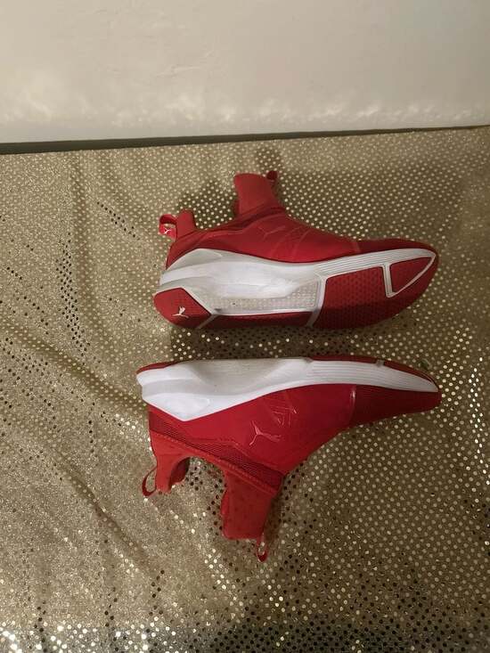 Puma - Picture 5 of 7